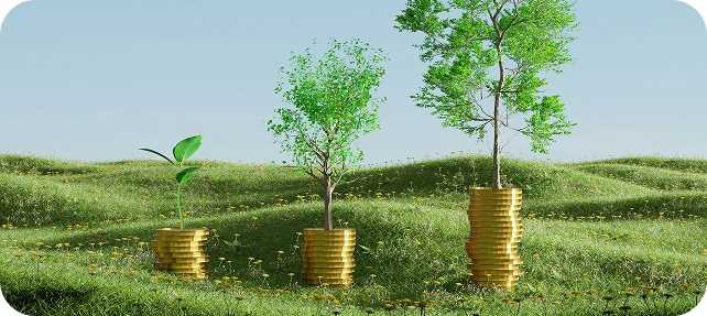 Investment Growth
